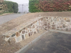 photo0202