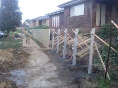 photo0121