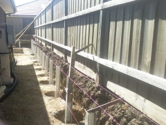photo0265