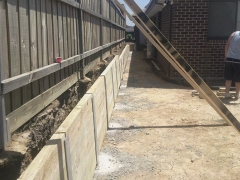 photo0281