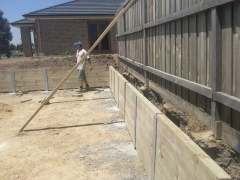 photo0282